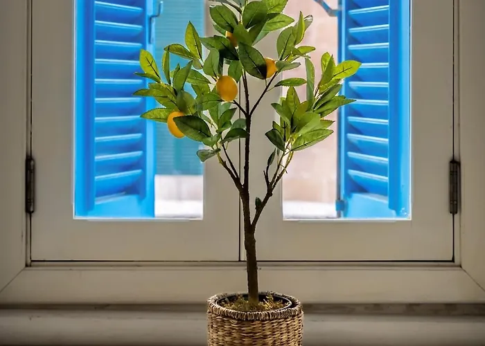 Discover A Hidden Gem In Apartament *